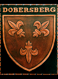                   Kupferbild                                   Gemeindewappen                          Gemeinde   Dobersberg                                                                                                                    jedes Bild ein "Unikat"
 Kupferrelief  Handarbeit