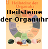    Ginger Michael Maier Wolfgang
 Heilsteine der Organuhr 
 